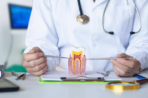 Best Emergency Root Canal Treatment in Lake Zurich, IL